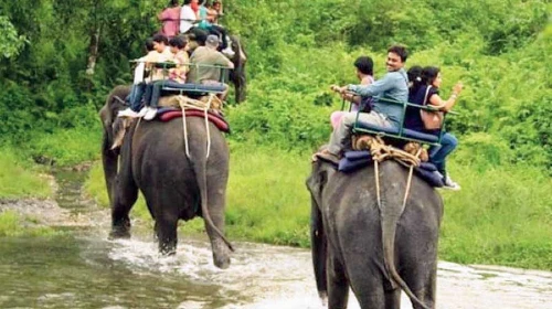 Beautiful Dooars Tour