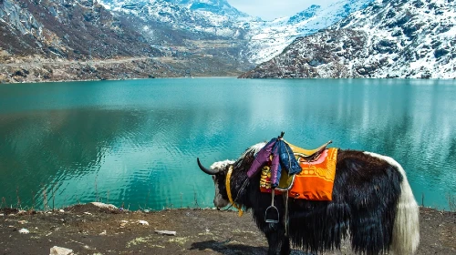 Discover Eastern Himalaya (Darjeeling, Sikkim)