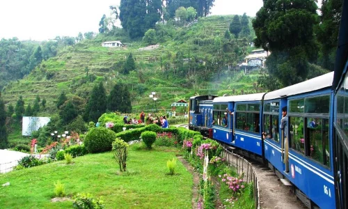 Darjeeling Toy Train