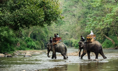 Jaldapara National Park
